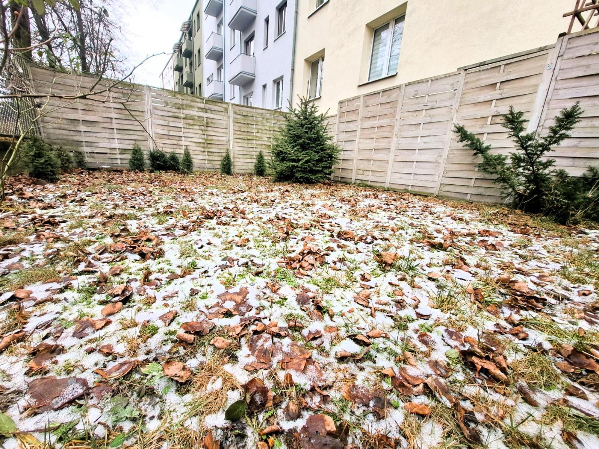 Apartament Z Ogrodem W Sercu Torunia Екстериор снимка